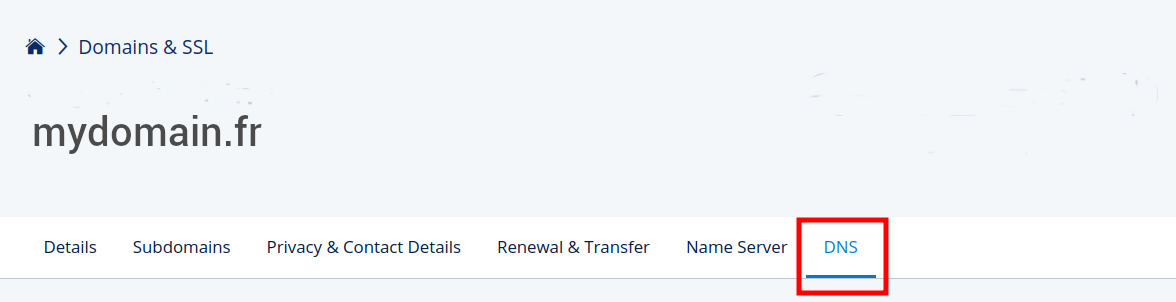 IONOS domain management page with DNS tab highlighted