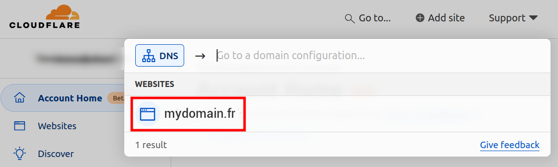 Cloudflare DNS search results with domain selected