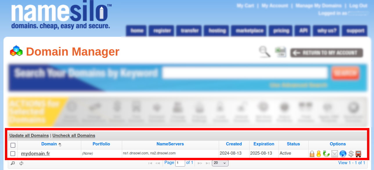 NameSilo Domain Manager showing domain list