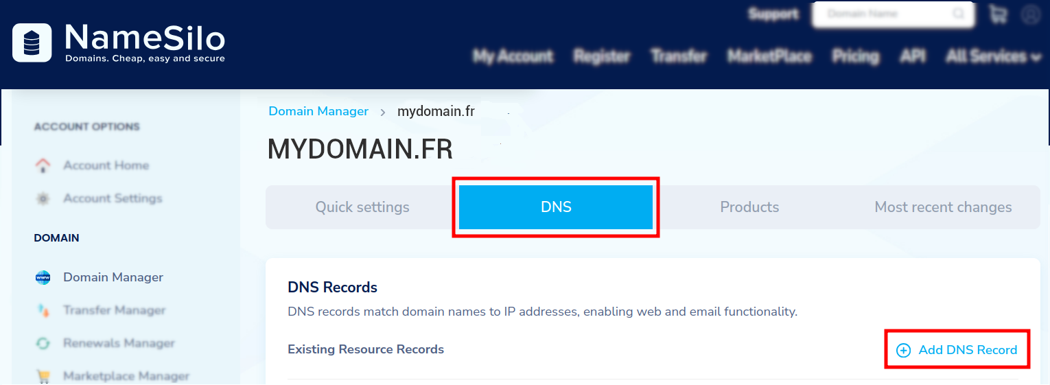 NameSilo domain DNS tab with Add DNS Record button