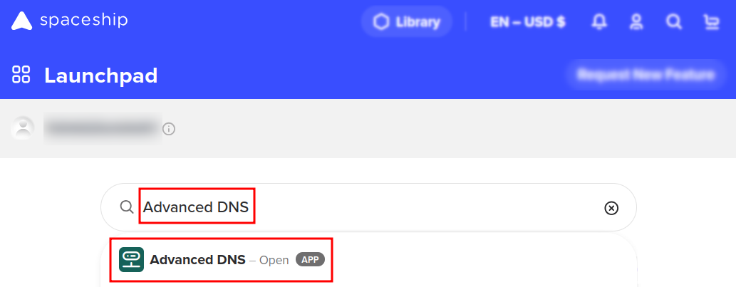 Spaceship Launchpad with Advanced DNS search result