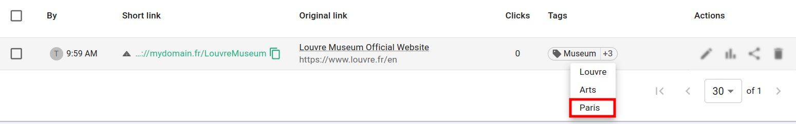 Filtered result showing single link with Paris tag expanded