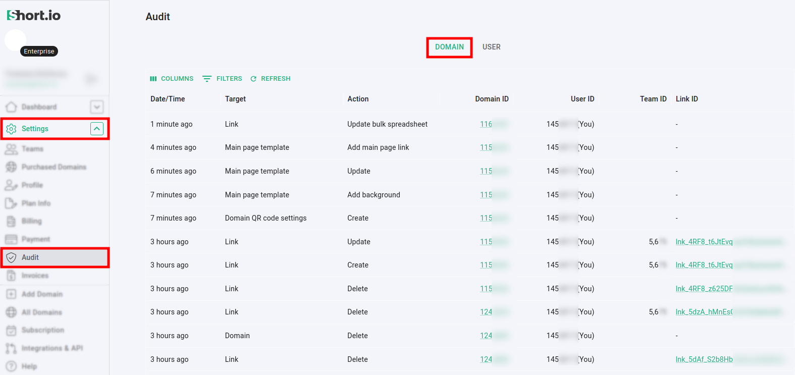 Audit page with Settings and Audit menu highlighted, Domain tab showing audit log table